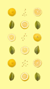 Lemon Pattern Wallpaper
