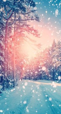 Winter Wallpaper for Iphone