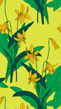 Baggu Yellow Lily Wallpaper