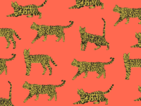 Baggu Tiger Wallpaper