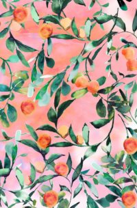 Baggu Wallpaper Android