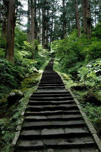 Forest Stairs Wallpaper