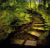 Forest Stairs Wallpaper