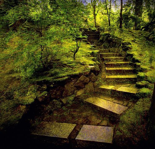 Forest Stairs Wallpaper - KoLPaPer - Awesome Free HD Wallpapers