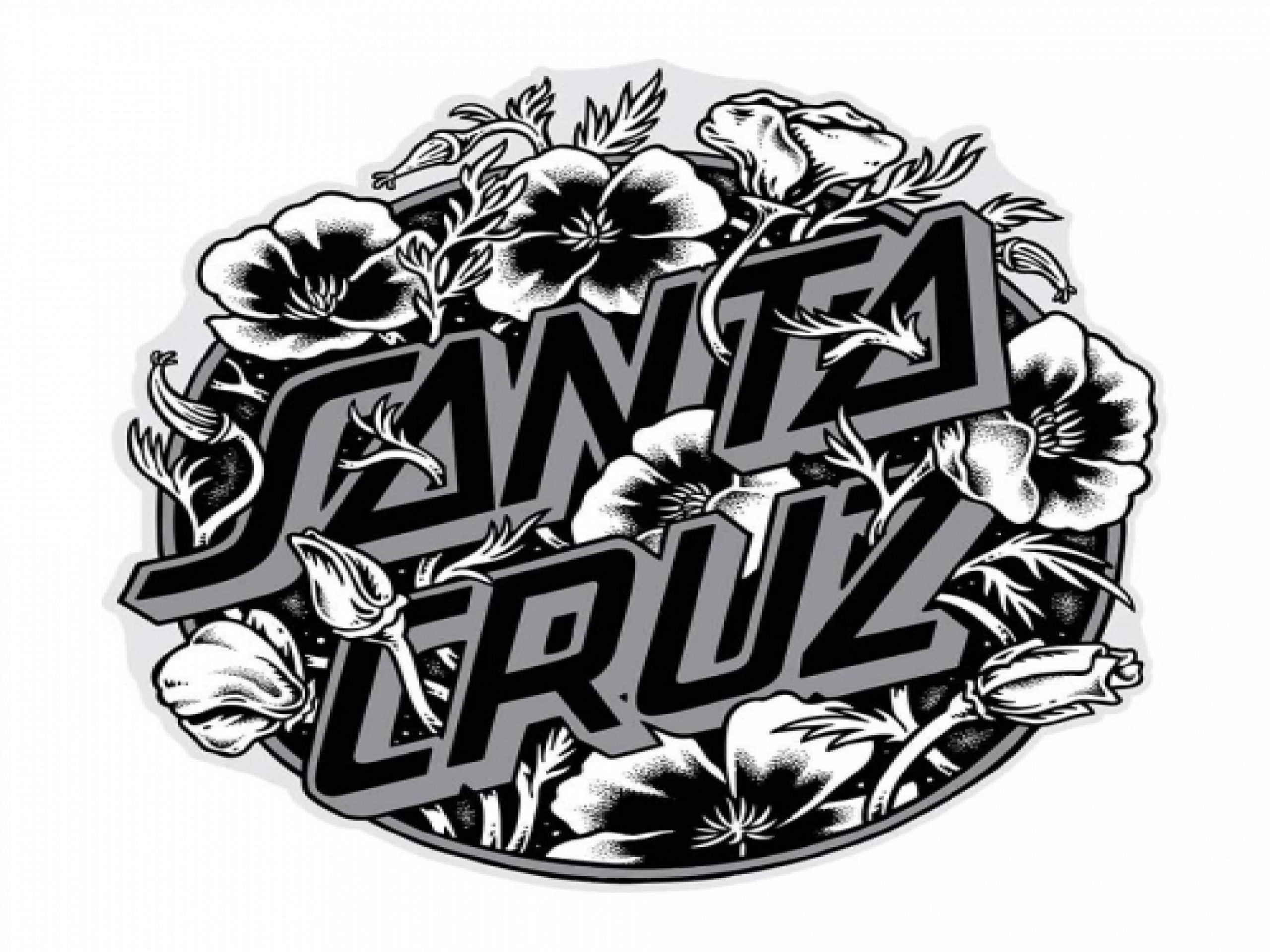 Santa Cruz Wallpaper Desktop Kolpaper Awesome Free Hd Wallpapers