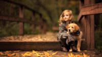 Golden Retriever with Cute Girl
