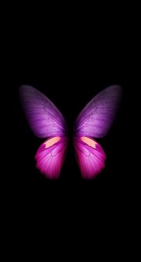 Live Butterfly Wallpaper