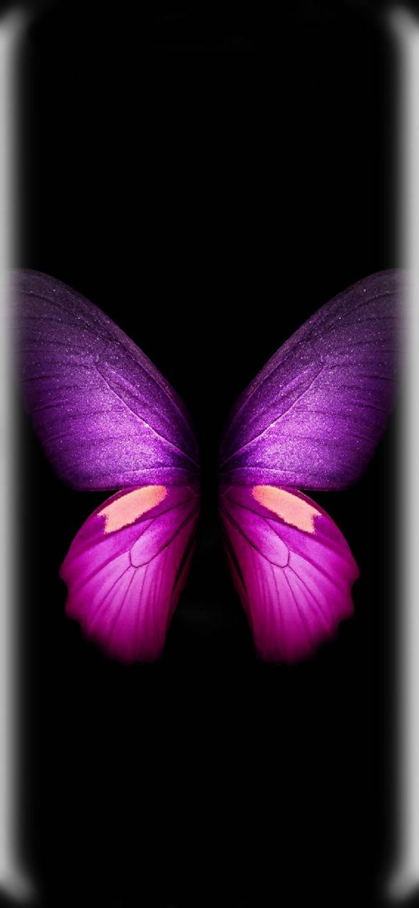 Samsung Butterfly Wallpaper