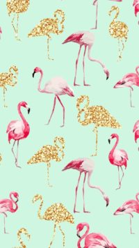 Flamingo Iphone Wallpaper