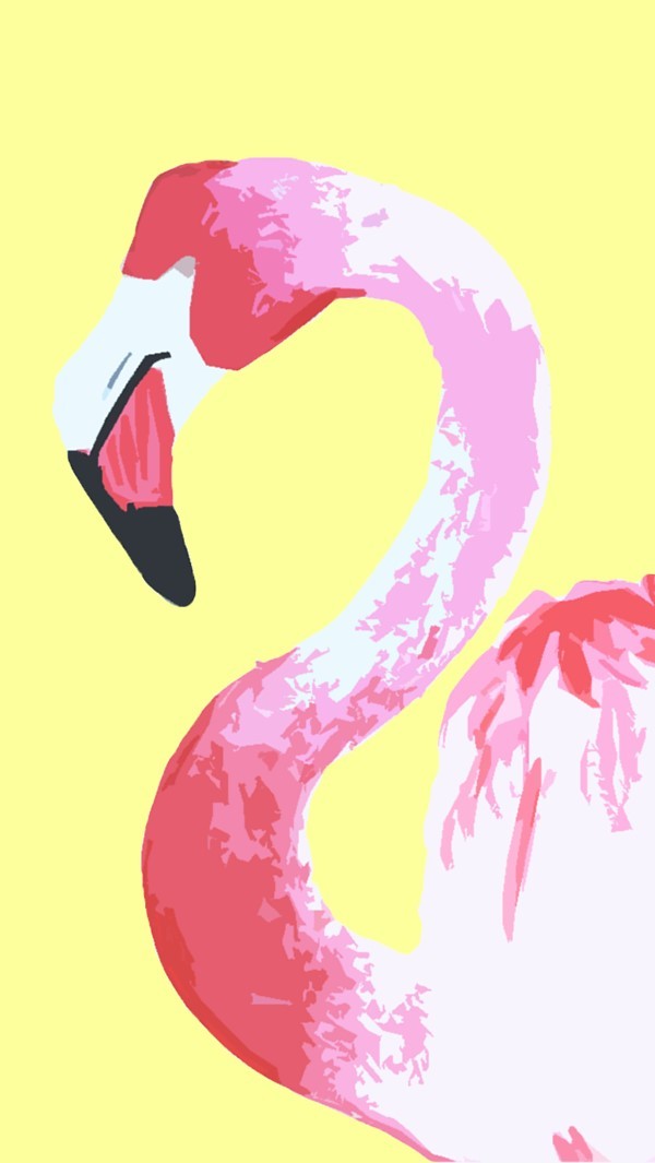 Flamingo Paint Wallpaper