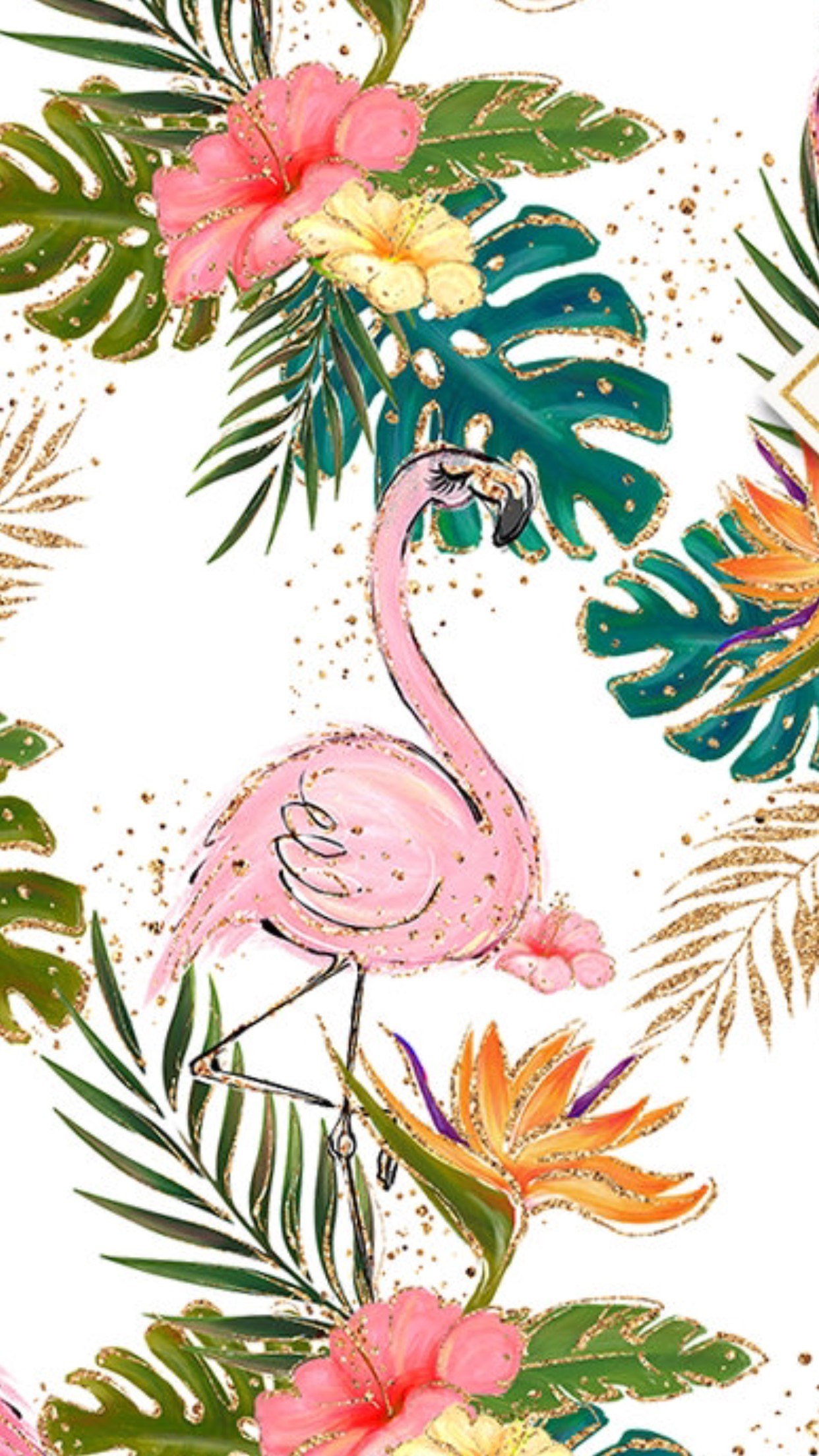 Flamingo Wallpaper Iphone