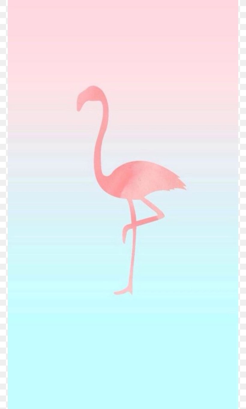 Flamingo Xiaomi Wallpaper Kolpaper Awesome Free Hd Wallpapers
