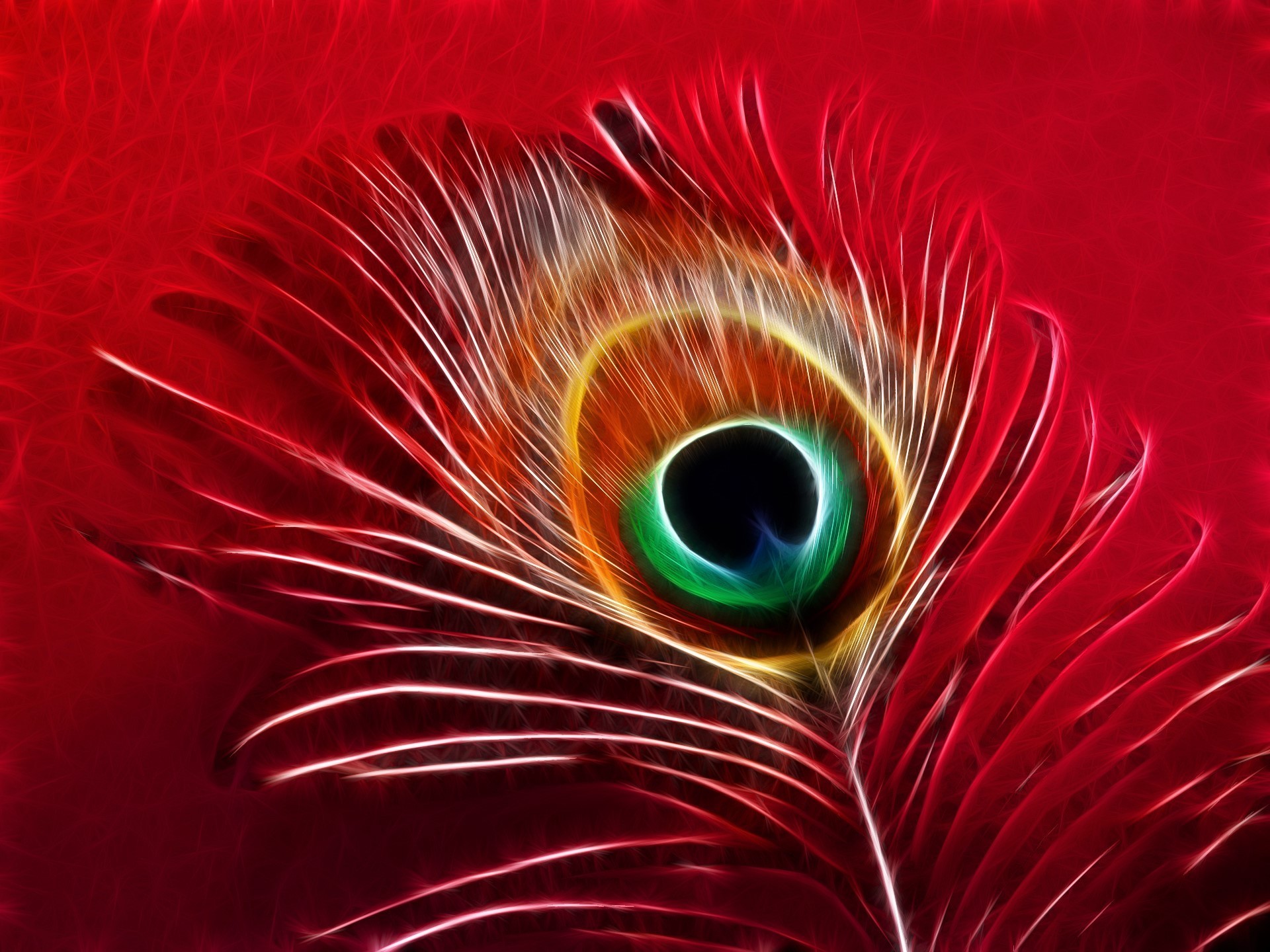 Peacock Feather Desktop Wallpaper - KoLPaPer - Awesome Free HD Wallpapers