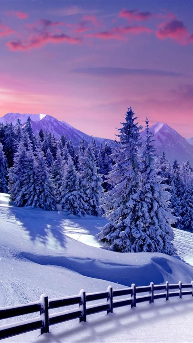 Sunset Winter Wallpaper