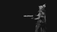 Valorant Background 4K