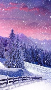 Winter Sunset Wallpaper
