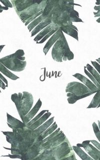 June Wallpapers Iphone