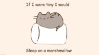 Pusheen Marshmallow Wallpaper