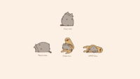 Pusheen Russian Wallpaper
