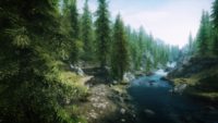 Skyrim Forest Wallpaper