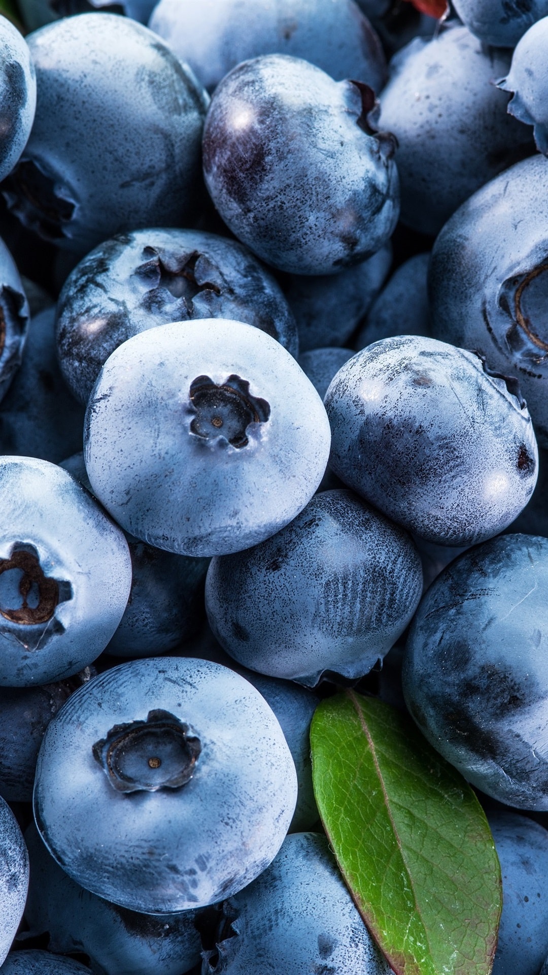 Blueberries Iphone Wallpaper
