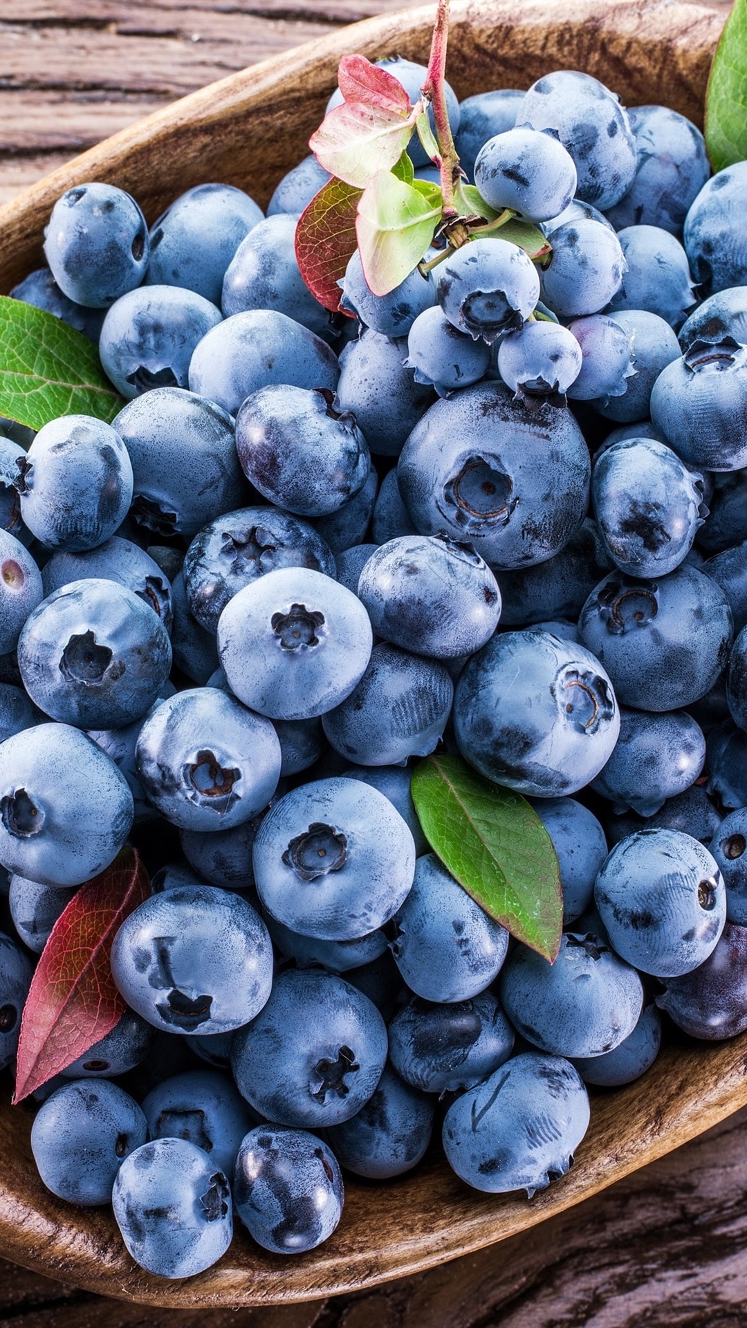 Blueberries Wallpapers