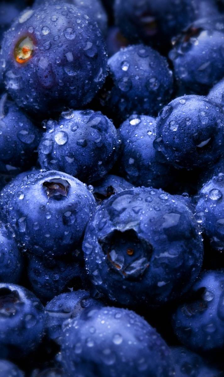 Blueberry Android Wallpapers