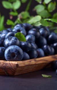 Blueberry Iphone Wallpapers