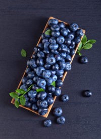 Blueberry Phone Wallpapers