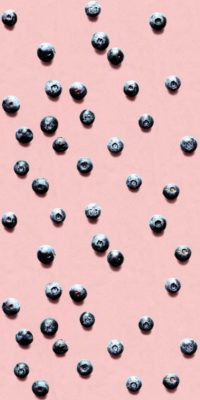 Blueberry Pink Wallpaper