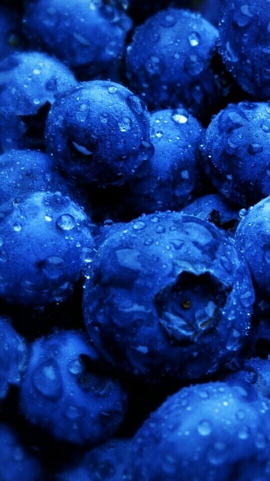 Blueberry Wallpaper 3