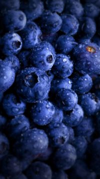 Blueberry Wallpapers 2