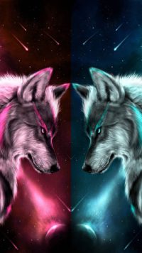 Double Wolf Wallpaper