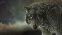 HD Wolf Wallpaper