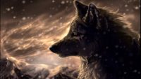 HD Wolf Wallpapers