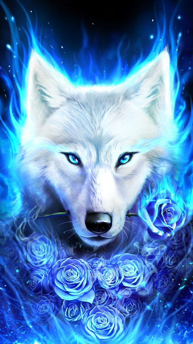Ice Blue Wolf Wallpaper Kolpaper Awesome Free Hd Wallpapers Hipwallpaper is considered to be one of the most powerful curated wallpaper community online. ice blue wolf wallpaper kolpaper