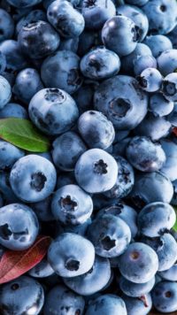 Iphone Blueberries Wallpaper