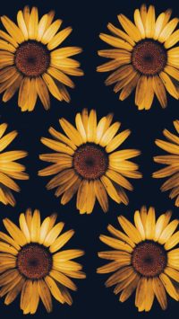 Iphone Sunflower Wallpapers 2