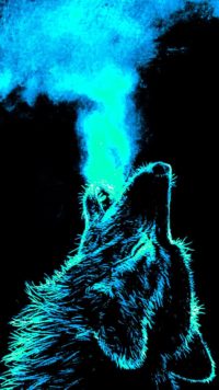 Iphone Wolf Wallpaper