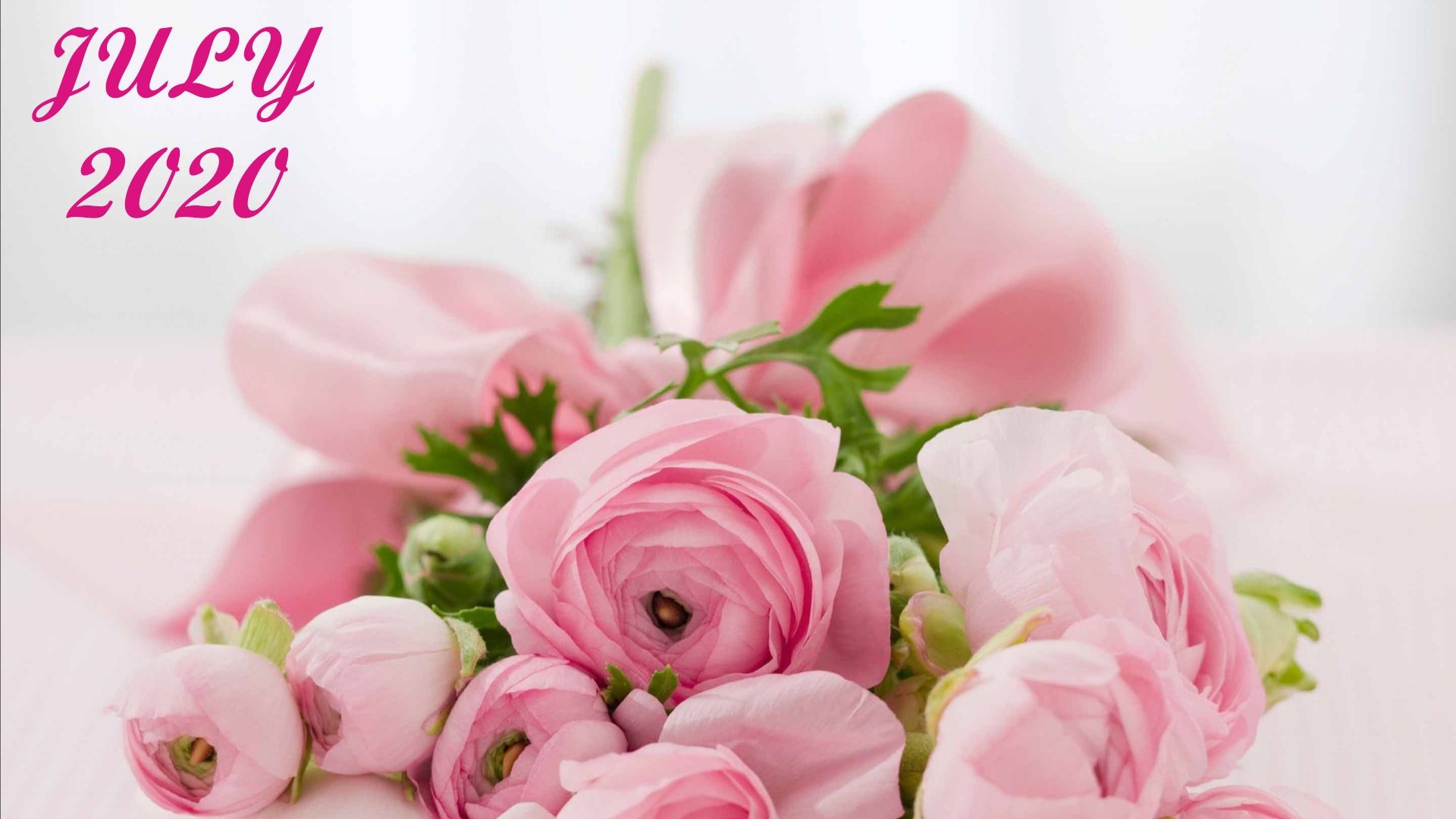 July 2020 Wallpaper 1 July 2020 Wallpaper