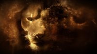 Lion Desktop Wallpapers