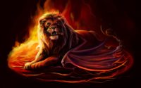 Lion HD Wallpaper