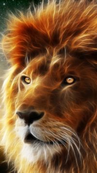 Lion Iphone Wallpaper