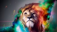 Lion Wallpaper HD