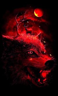Red Wolf Wallpaper Phone