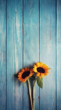 Featured image of post Background Lock Screen Sunflower Wallpaper - Browse millions of popular 2017 wallpapers and ringtones on zedge and.