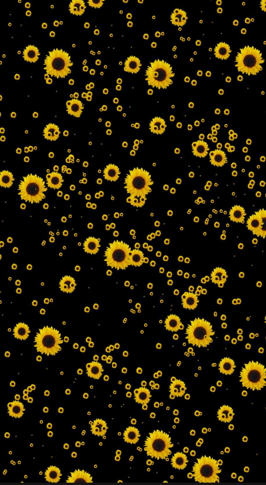 Sunflowers Wallpapers 1 Sunflowers Wallpapers