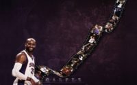 Vince Carter Wallpaper Computer