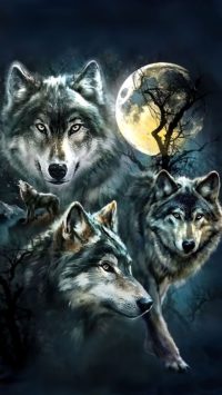 Wolf Background Images