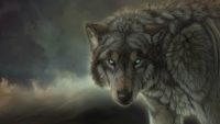 Wolf Desktop Wallpaper